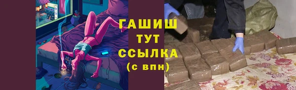 индика Дмитров