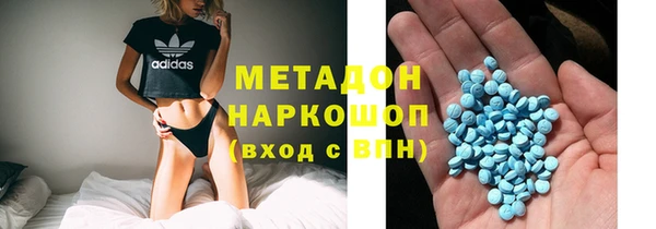индика Дмитров