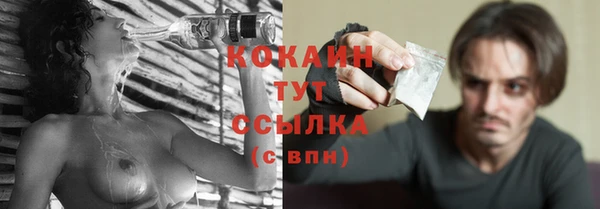 индика Дмитров