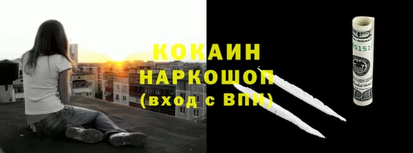 прущие грибы Дмитриев