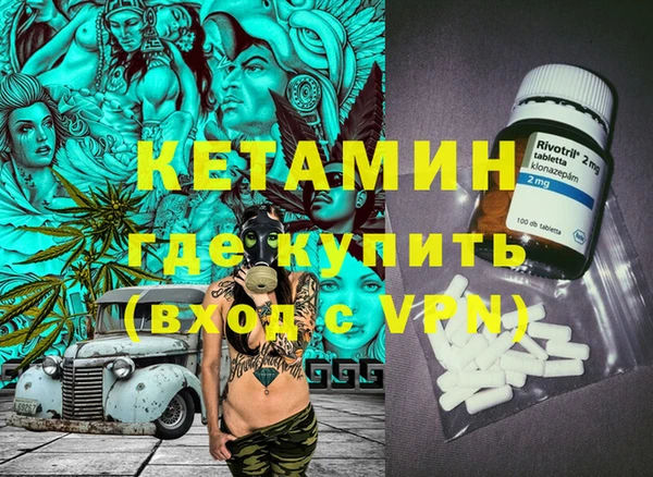прущие грибы Дмитриев