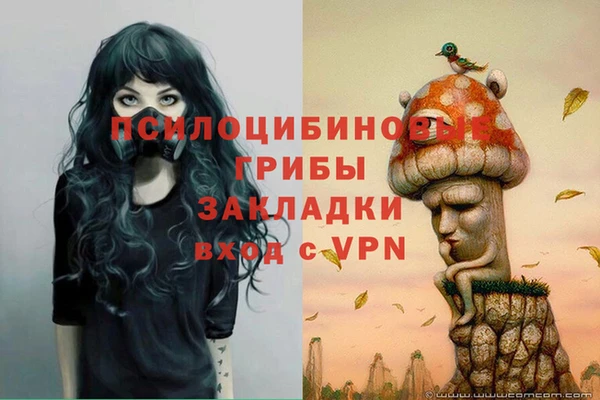 прущие грибы Дмитриев