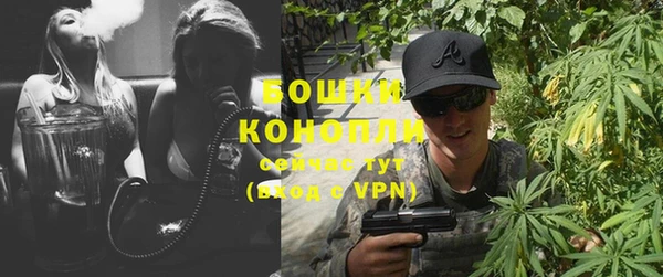 индика Дмитров