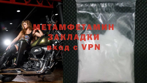 прущие грибы Дмитриев