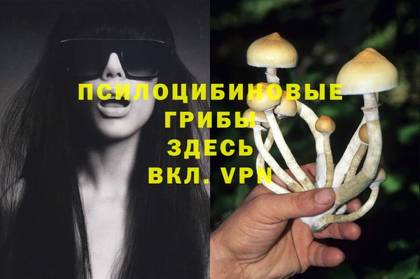2c-b Гусь-Хрустальный