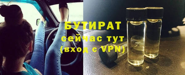 прущие грибы Дмитриев