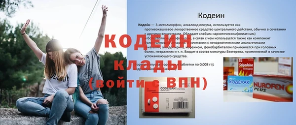 прущие грибы Дмитриев