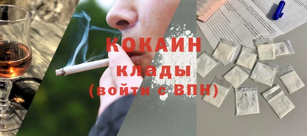 индика Дмитров