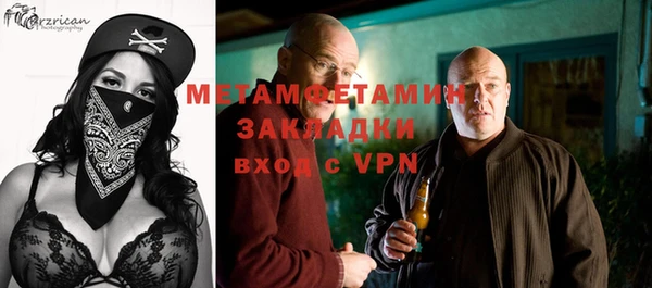 прущие грибы Дмитриев