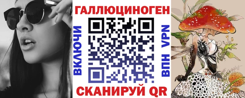 Галлюциногенные грибы Psilocybe  Купить где  Сланцы 
